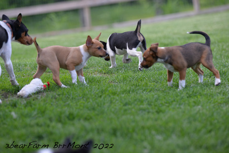 Enlarge photo 12