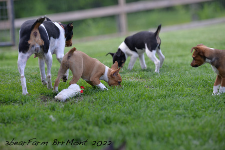 Enlarge photo 11