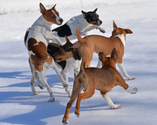 Enlarge photo 111