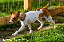 Enlarge photo 218