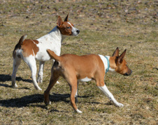 Enlarge photo 151