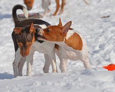 Enlarge photo 90