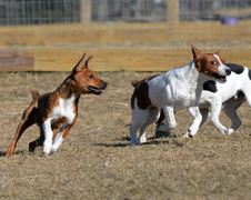 Enlarge photo 117