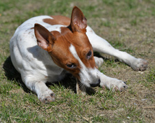 Enlarge photo 166