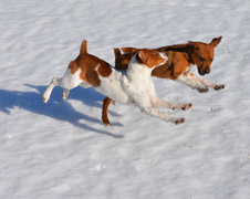 Enlarge photo 114