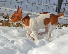 Enlarge photo 44