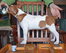 Enlarge photo 38