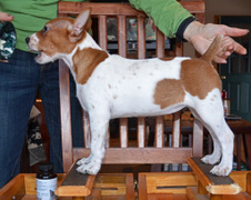 Enlarge photo 37
