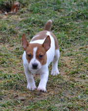 Enlarge photo 26