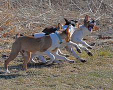 Enlarge photo 144