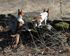Enlarge photo 145