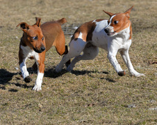 Enlarge photo 121