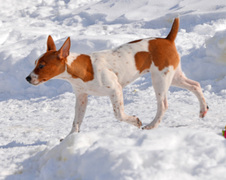 Enlarge photo 107