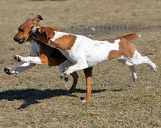 Enlarge photo 122