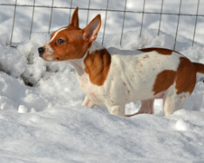 Enlarge photo 43