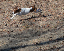 Enlarge photo 137