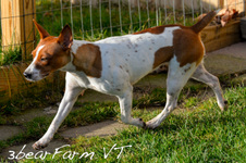 Enlarge photo 209
