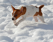 Enlarge photo 46