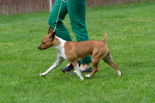 Enlarge photo 227
