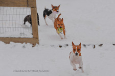Enlarge photo 257