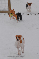 Enlarge photo 254