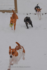 Enlarge photo 253
