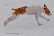 Enlarge photo 247
