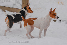 Enlarge photo 245