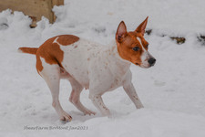 Enlarge photo 243