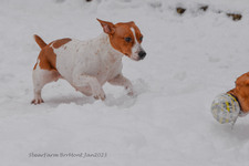 Enlarge photo 241