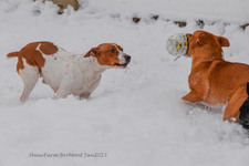 Enlarge photo 240