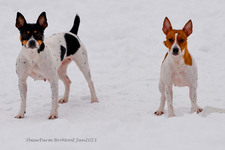 Enlarge photo 329