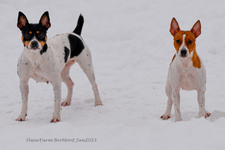 Enlarge photo 328