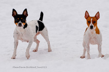 Enlarge photo 327
