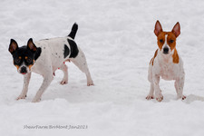 Enlarge photo 326