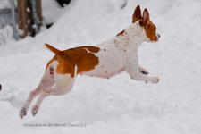 Enlarge photo 324