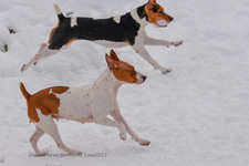 Enlarge photo 322