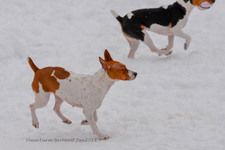 Enlarge photo 321