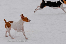 Enlarge photo 320