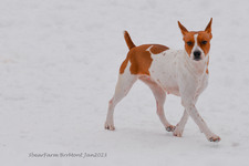 Enlarge photo 319