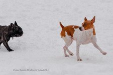 Enlarge photo 318