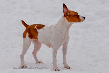 Enlarge photo 317