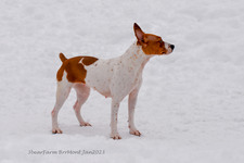 Enlarge photo 316