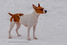 Enlarge photo 315