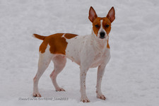Enlarge photo 312