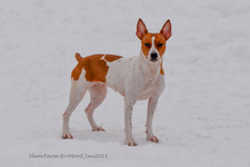Enlarge photo 311