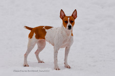 Enlarge photo 310