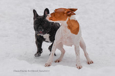 Enlarge photo 304
