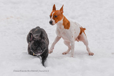 Enlarge photo 301