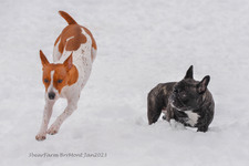 Enlarge photo 297